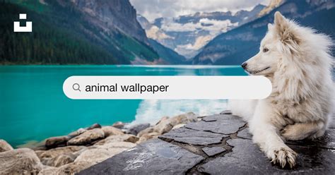 Image result for Example of Video Timestamp Grid