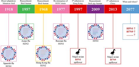 Frontiers | Promising strategy for developing mRNA-based universal influenza virus vaccine for ...