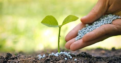 Global Biofertilizers Market by Microorganism Types, Applications, and ...
