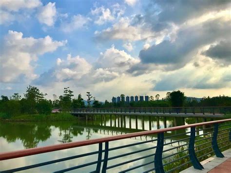 广州增城区荔湖公园风景如画，是市民休闲游玩的好地方~_总面积_栈道_环湖