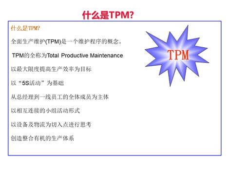 TPM Tutorial 的图像结果
