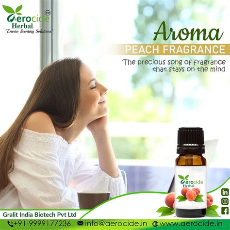 Modern Perfumery Notes Of Essential Oil: Peach