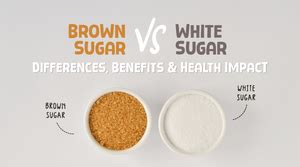 What Do Abductor and Adductor Machines Actually Do? Find Out Here