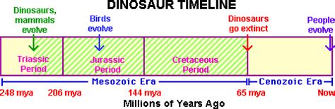 Dinosaur Evolution 的图像结果