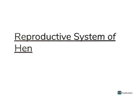 SOLUTION: Reproductive system of hen - Studypool