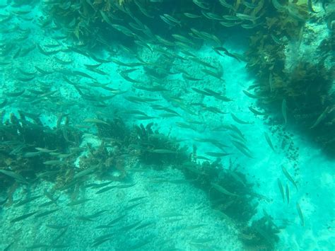 THE OCTOPUS HIDEAWAY - All You Need to Know BEFORE You Go 2026 (with ...