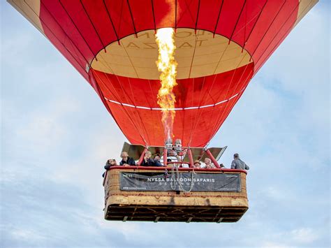 MEILLEUR TOURS AND SAFARI (2026) All You Need to Know BEFORE You Go ...