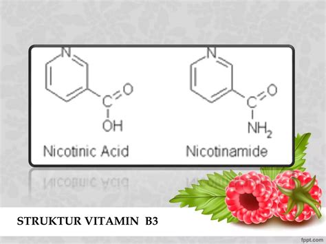 Vitamin | PPTX