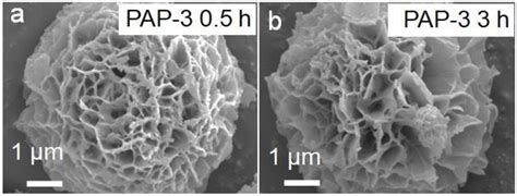 Controllable Construction of Amino-Functionalized Dynamic Covalent ...
