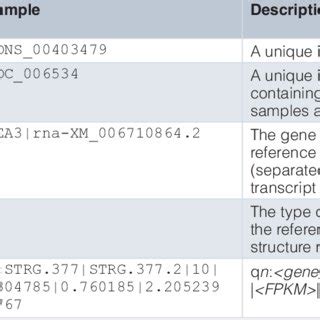 Image result for Gff Compare Class Code