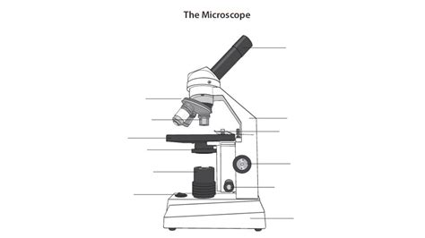 Image result for How to Use Microscope for Identification
