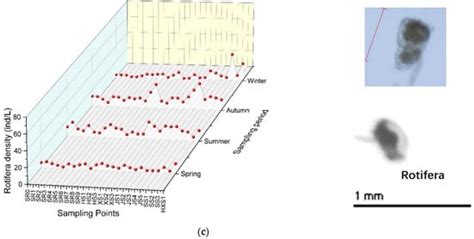 Temporal Variation and Spatial Distribution in the Water Environment ...