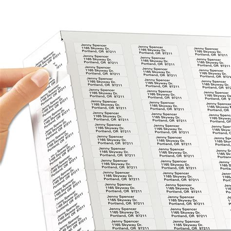 Address Labels Examples 的图像结果