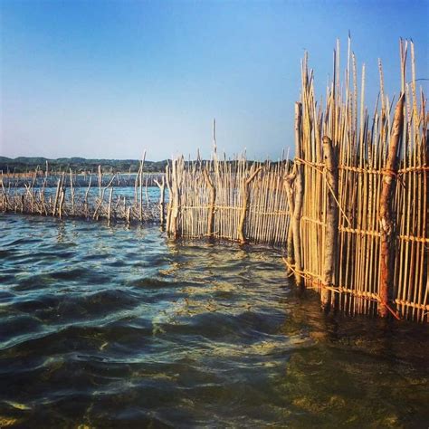 THE KOSI EXPLORER (2026) All You Need to Know BEFORE You Go (with ...