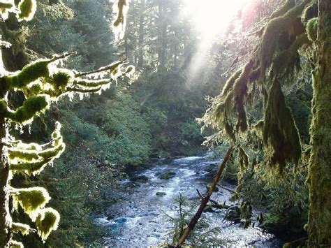 AFOGNAK ISLAND STATE PARK (2026) All You Need to Know BEFORE You Go ...