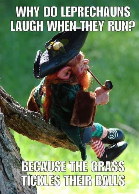 B a leprechaun 😄😄 Funny Adult Memes, Funny Jokes For Adults, Stupid ...