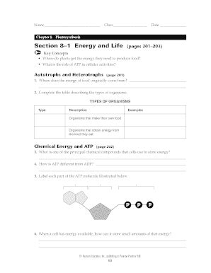 Section 8 1 Energy And Life - Fill and Sign Printable Template Online