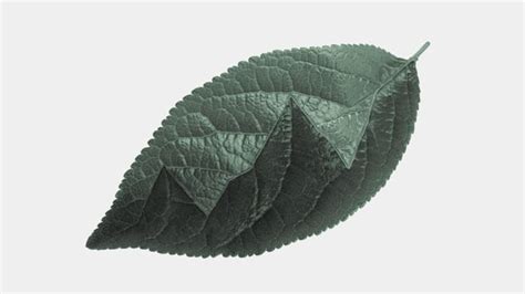 Image result for IBM Quantum Computer CPU