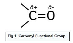 Carbonyl Compounds Notes 的图像结果