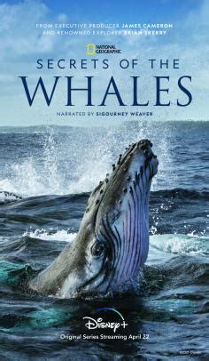 Secrets of the Whales (2021) | GoldPoster