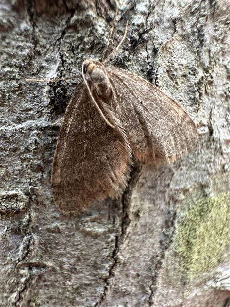 City of Providence Holiday Tree Lighting Ceremony