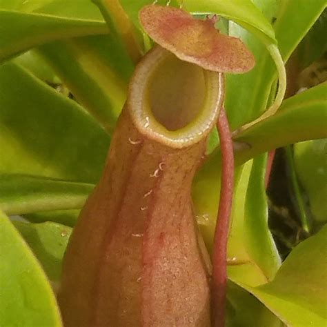 JAKE'S PLANTS (2026) All You Need to Know BEFORE You Go (with Photos ...