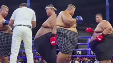 Sumo Fight Video Funniest Sumo boxing Fight Video Went Viral on Social ...