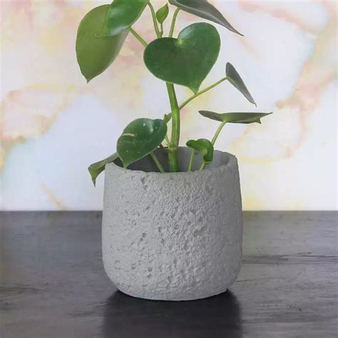 Rough Textured Concrete Planter - Grey (5 inches) - Plantxo