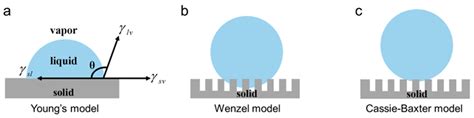 Femtosecond Laser Fabrication of Wettability-Functional Surfaces: A ...