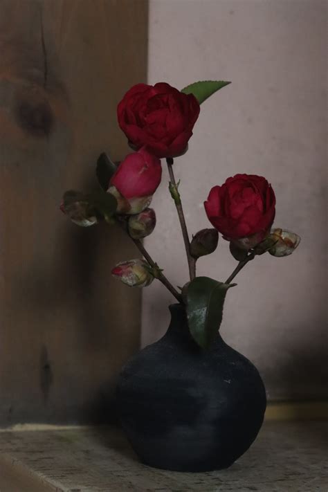 優しさに気づく時 : 〈Petit lab Bakery〉プチラボベーカリー ｜ 山口県美祢市のパン教室と小さなパン屋さんです