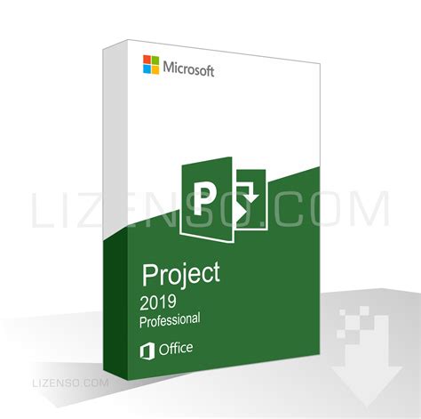 Image result for Install Microsoft Project 2019