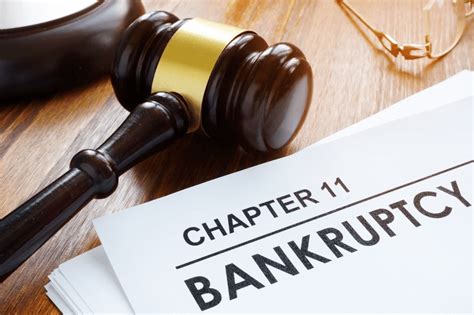 Explaining Chapter 11 Bankruptcy 的图像结果