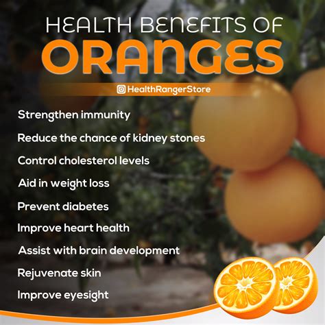 Citrus Fruits Good For Diabetes at Eugene Mash blog