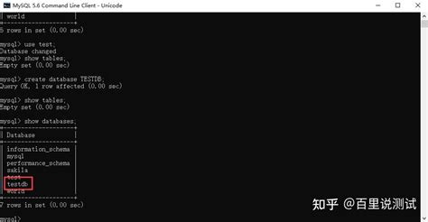 MySQL-python Tech with Tim 的图像结果