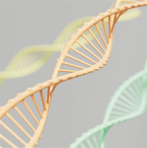 Genetic Engineering Kit 的图像结果