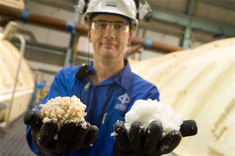 Tree to Paper Process 的图像结果