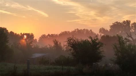 Image result for SQL Misty