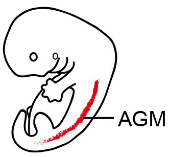 See related image detail. Home - HemAtlas