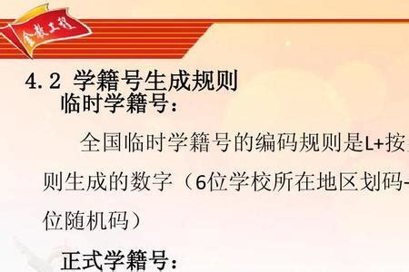 学籍号x开头是什么意思