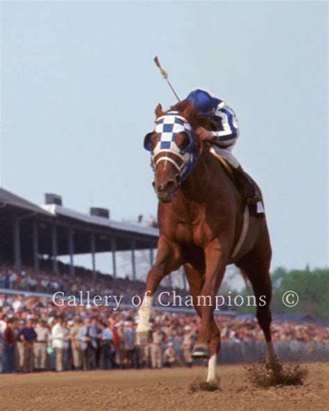 Secretariat Kentucky Derby Photo #105 - Etsy