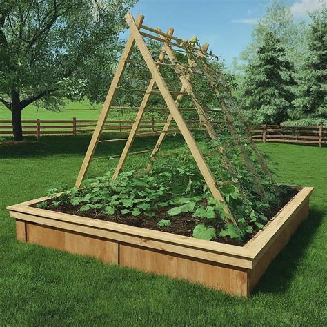 Building A Raised Garden Bed With A Trellis: A Beginner's Guide