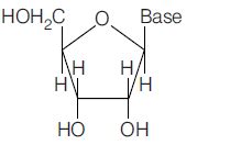 Identify the nucleoside from the following: - Tardigrade