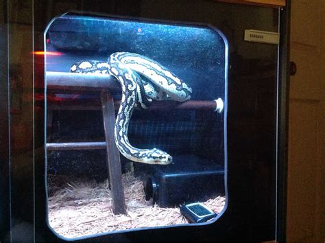 Setting Up Python Enclosure 的图像结果