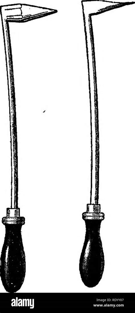 Cauterizing 的图像结果