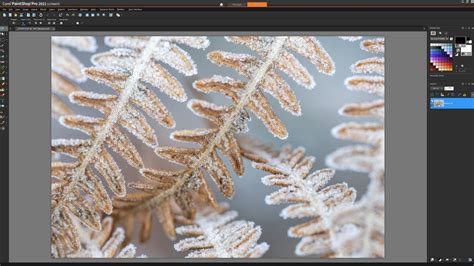 Corel Paint Shop Pro 2021 Ultimate Tutorial 的图像结果