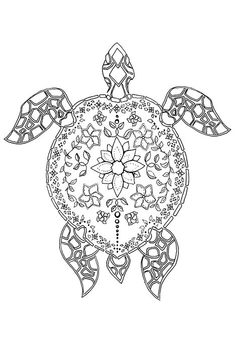 Printable Turtle Pattern
