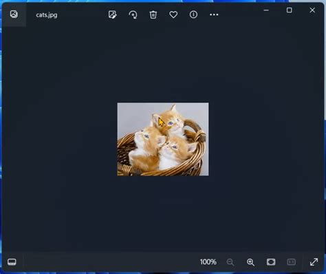 Printing From Computer 的图像结果
