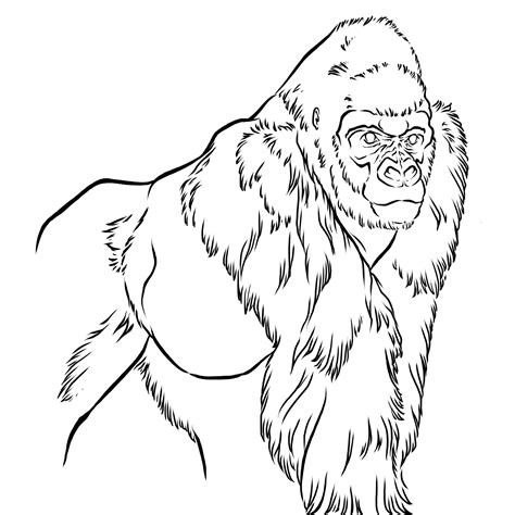 Coloring Pages Of Gorillas