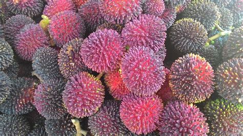 Download Lush Overripe Pulasan Fruits Wallpaper | Wallpapers.com