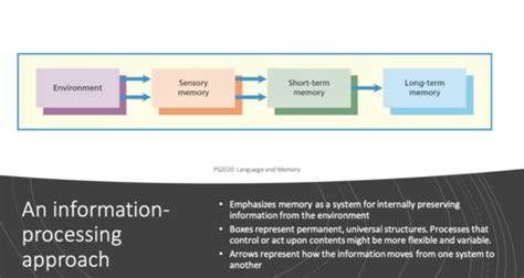 Memory Systems Tutorials 的图像结果